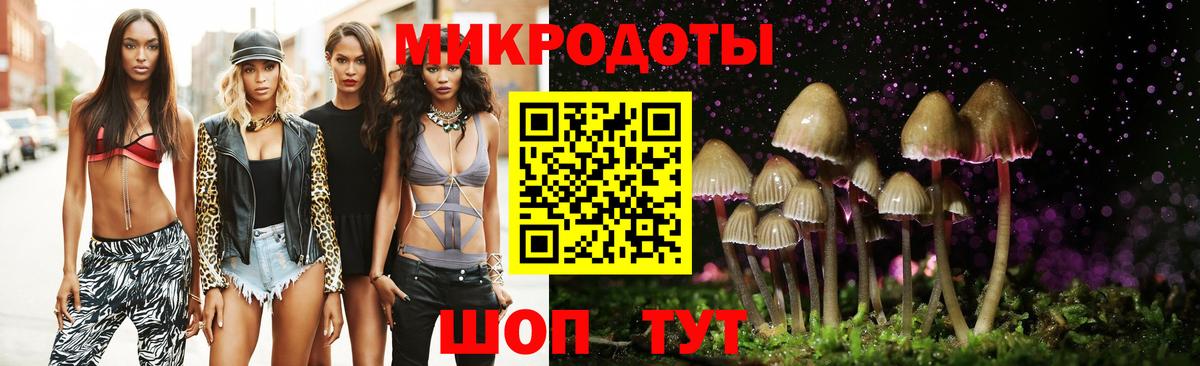 Псилоцибиновые грибы Psilocybe Орехово-Зуево