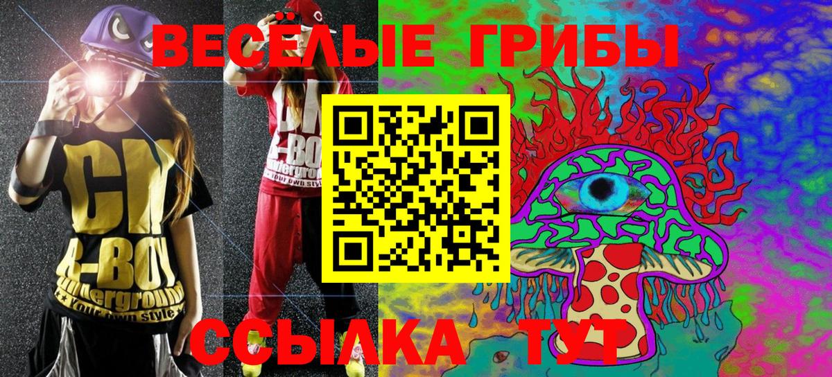 Галлюциногенные грибы GOLDEN TEACHER  Псилоцибиновые грибы Psilocybine cubensis  Орехово-Зуево  Вход с VPN 